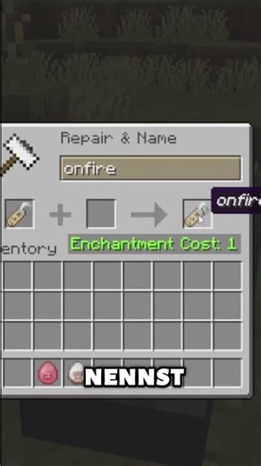 Das geheime Nametag #minecraft #minecraft #shorts