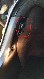 Help removing cargo net hook