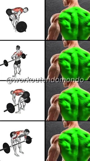 Back Workout for a Strong & Wide V-Taper 💪 #shorts #gym #viral