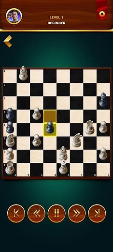 PLAYING CHESS WITH COMPUTER