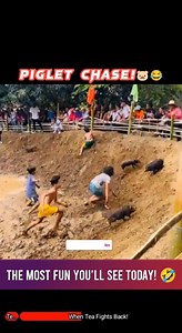 2.3K views · 185 reactions | Ever seen kids in a cage trying to catch...