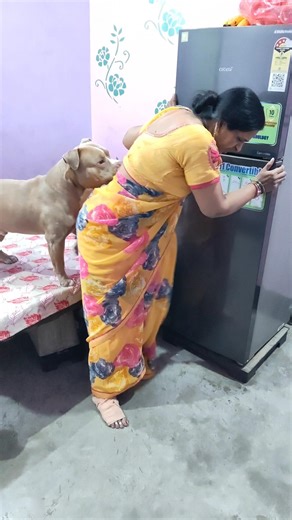 super dog did superb job ❤️🫶#animallife #pitbul #like #subscribe #support