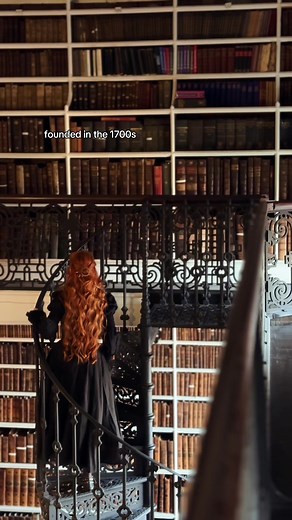 Exploring My Favorite Library: A Hidden Gem