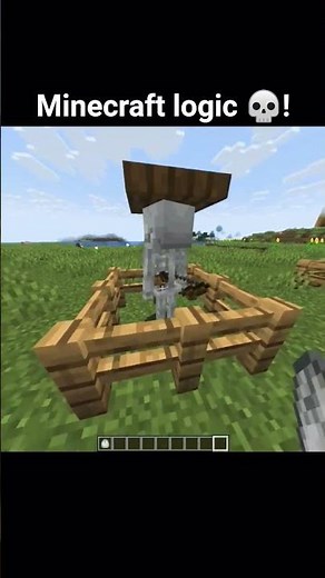 Minecraft logic 💀
