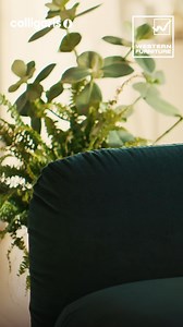 Every design tells a story, and yours begins here. At Western Furniture, we bring quality, comfort, and innovation to your space, transforming houses into homes that reflect your vision. | Western Furniture | Facebook