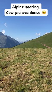 1.7K views · 23 reactions | Baudis Diana 2 landing and dodging cow pies  | Stephane Ruelle | Facebook