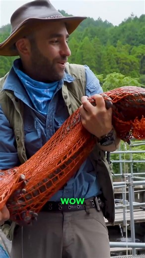 16K views · 184 reactions | The biggest salamander in Japan!  #salamander #giantcreature #japan #bravewilderness | Brave Wilderness | Facebook