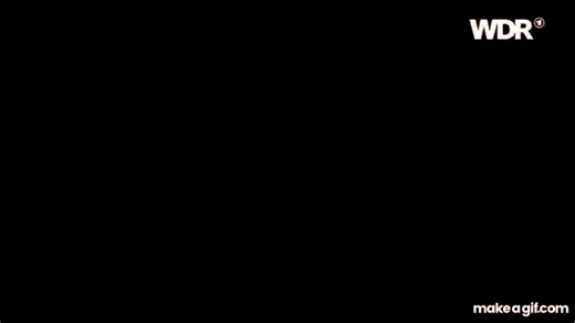 Die Maus on Make a GIF