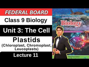 Chapter 3 The Cell | Chloroplast, Chromoplast & Leucoplasts | Class 9 Biology Federal Board 2025
