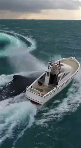 Boat vs. Nature: The Ultimate Escape 🚤💨