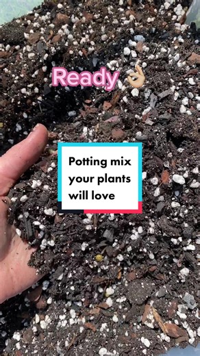 Perlite, horticultural charcoal, soil, and orchid bark combine to create an excellent potting mix for indoor plants. Perlite ensures proper drainage and aeration, preventing waterlogging and root rot. Horticultural charcoal helps regulate moisture levels and prevents odors. Soil provides essential nutrients and stability, while orchid bark promotes drainage, aeration, and moisture retention. This well-balanced potting mix allows for optimal root health, preventing issues like overwatering or suf