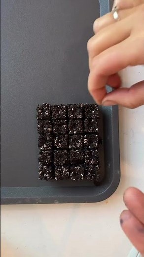 How to sow eucalyptus seeds, How to grow eucalyptus, How to grow eucalyptus for cut flowers #garden