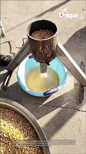 Traditional grain grinding machine processing corn