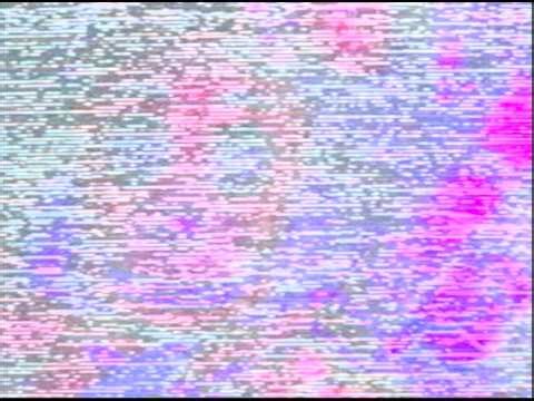 The yellow bear and rabbit [FNAF VHS]