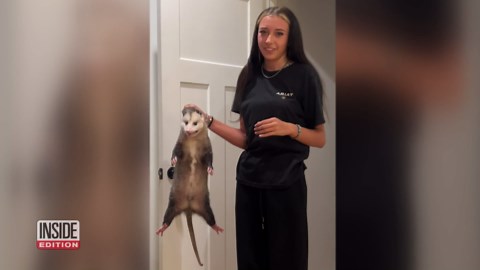 Fearless Teens Brings Wild Possum Into House To Show Her Parents