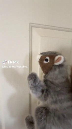 Squirrels Taking Over: The Puppet Door Meme