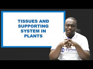 Supporting Tissues in Plants Video Lecture | Biology for JAMB