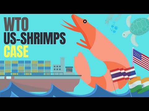 WTO disputes explained | US Shrimps- Turtle case | Trade Law | Lex Animata by Hesham Elrafei