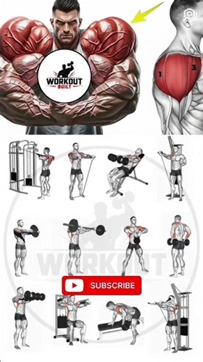Top Shoulder Exercises for Muscle Growth