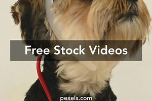 Funny Nurses Videos, Download The BEST Free 4k Stock Video Footage & Funny Nurses HD Video Clips