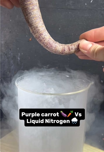 Liquid nitrogen 🌧️ 💜 🥕 ❄️ 🍭 🍬 #Satisfying #Experiment #ASMR #LiquidNitrogen #NitrogenVS