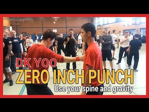 Zero inch punch(Use your spine and gravity) - DK Yoo