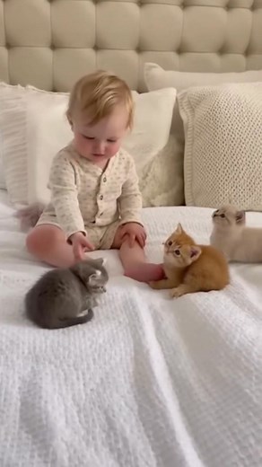 Cute kitten follow baby instructions #babylove #kitten #baby #cute #KittenLove | Baby animal love