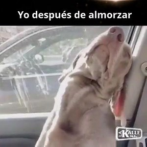 2.2M views · 8.9K reactions | Así mero jaja | Trap Music | Facebook