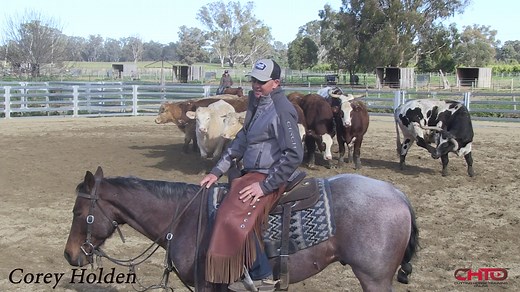 45K views · 1.1K reactions | New video: How To Create Cow Smart...