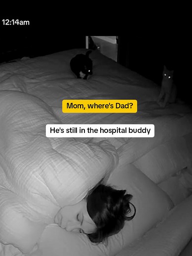 @Cookie's Dad had to have knee surgery and Cookie seemed pretty worried (and a little confused about where we were). Happy to report Dad is home and starting to recover. They also had to cut his bone to straighten out his leg so we have a bit of a journey ahead of us. Cookie is pretty curious and will snuggle but tries to bite and scratch at the brace/get to his knee. Any tips to help him leave it alone so he can still hang out with dad would be appreciated! Thank you for all your well wishes. I
