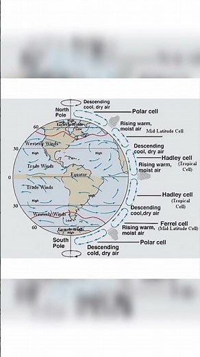 GLOBAL WIND CIRCULATION 🌬️🍃#vvkias #wind #map #upsc #geography