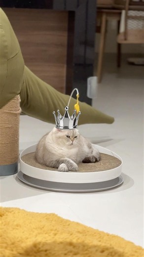 Откуда они у него 😆, я не знаю