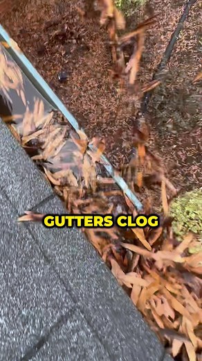 🍁 As the leaves fall, they don’t stop at your lawn — they pile into your gutters. This causes water to overflow into your roof and walls, leading to rot, leaks, and mold that can cost thousands to repair. The Rapid Roofing Gutter Protection Program is helping Suffolk County homeowners stop the damage before it starts — with 50% OFF installation on our premium, storm-tested gutter guards. These guards block out leaves and debris while letting rainwater flow through, keeping your gutters clear an