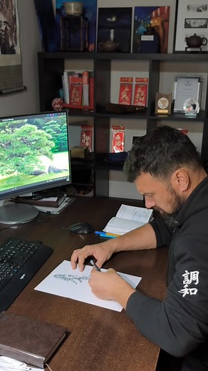 Pirmasis etapas pabaigtas – dygiąja eglė (Picea pungens) po pirmojo šakų formavimo grįžo prie tvoros, kur lauks tinkamo akmens. Liko visai nedaug: surasti 600–800 kilogramų svorio akmenį, kuriame prieš sodinimą bus išskaptuotas dubuo šaknims. Akmenį numatyta paversti pagrindiniu kompozicijos akcentu – jis pabrėš eglės formą ir sukurs natūralų kalnų kraštovaizdžio įspūdį. Pavasarį, radus tinkamą akmenį, bus atliktas sodinimas ir papildomas formos koregavimas, siekiant išlaikyti harmoningą bei sub