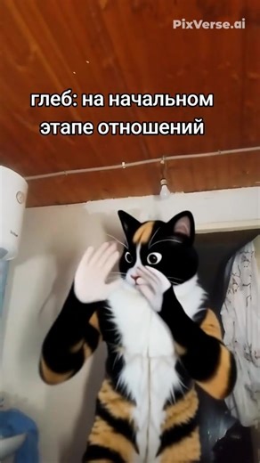 Funny Cat Memes: Cuteness Overload!