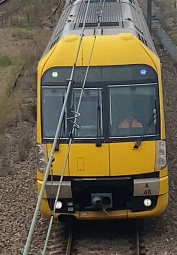 Waratah Set 48 Train at Teralba