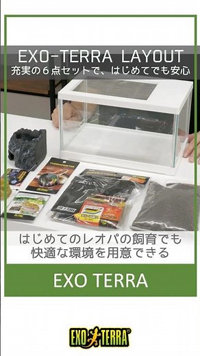 【はじめてのレオパにも安心、充実の６点セットをご紹介】「レオパ飼育キットS TV」