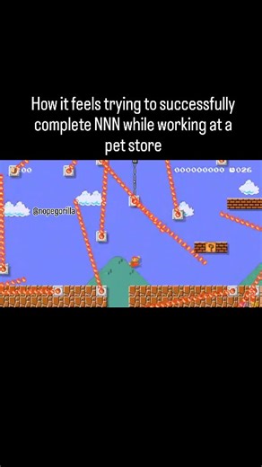 Gorilla Shmorilla on Instagram: "Super Mario Bros. (1985) is a landmark video game by Nintendo introducing Mario and Luigi’s quest to rescue Princess Peach from Bowser in the Mushroom Kingdom. With iconic power-ups, platforming gameplay, and worldwide impact, it shaped gaming culture and generations of players. #petstore #november #goals #jobs #dank #memes #darkhumor"