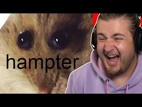 Purplecliffe Loses a Pokemon Every Time He Laughs LIVE #7