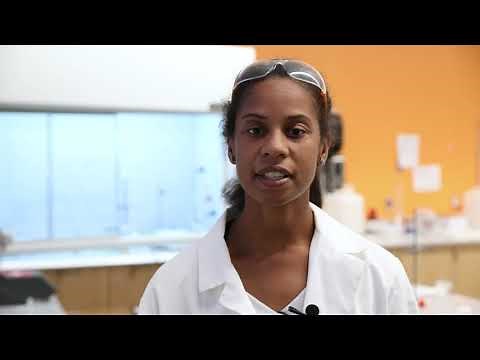 Department of Natural Sciences Overview