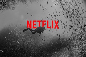 8 Películas de buceo y vida marina para ver en Netflix.