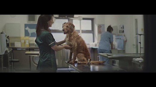 1.8M views · 15K reactions | We are pleased to be able to give you a...