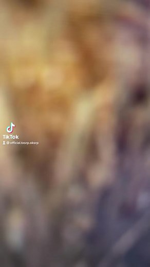 Pulling tractor!! #fyp #fivem #txsrp #texas #roleplay #goviral #roadto2k #gta5