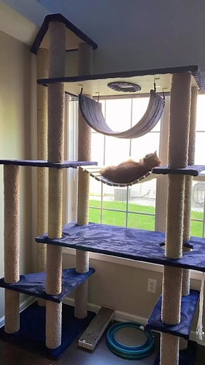 DIY Cat Tower Part 2 Tutorial