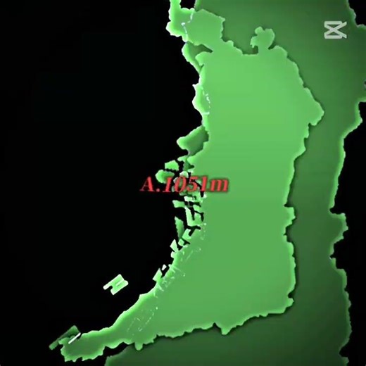 意外にもそうなんだー #のびろ