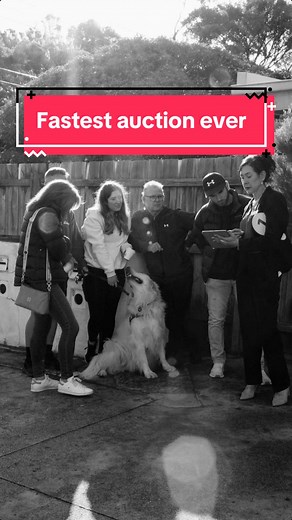 Fastest Auction in Melbourne: A Record Bidding Rush