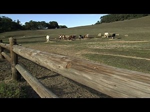 Tour The California Ranch Where Nancy and Ronald Reagan Lived for 23 Years