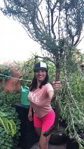 Videos de Talita Chef (@talitachef) con “sonido original - Talita Chef”