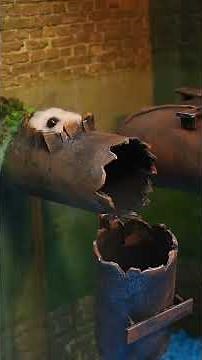 Hamster vs Granny | Haunted House Halloween Challenge #hamster #cutepets #pets #animals