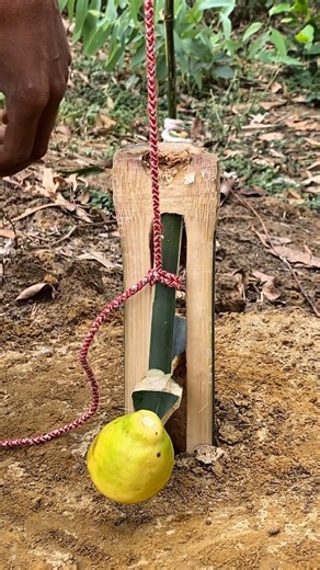 Creative ideas and techniques for asse...#trap